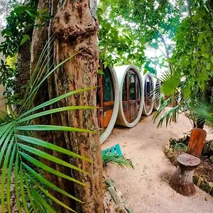 Tubo Hostal